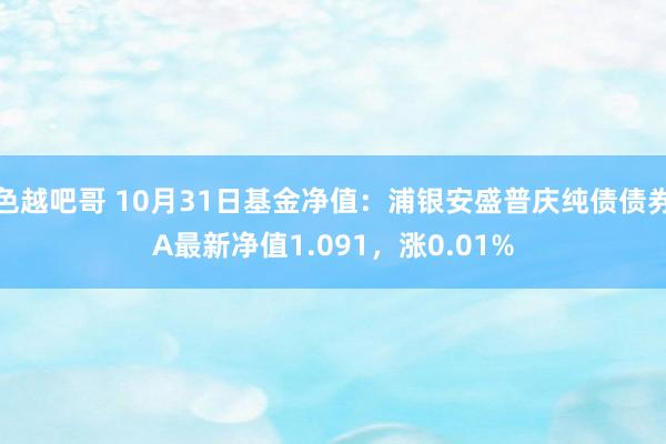 色越吧哥 10月31日基金净值：浦银安盛普庆纯债债券A最新净值1.091，涨0.01%