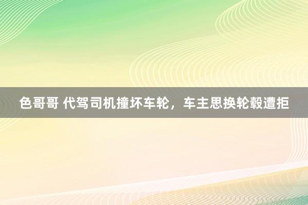 色哥哥 代驾司机撞坏车轮，车主思换轮毂遭拒