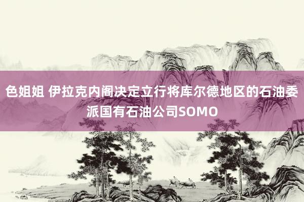 色姐姐 伊拉克内阁决定立行将库尔德地区的石油委派国有石油公司SOMO