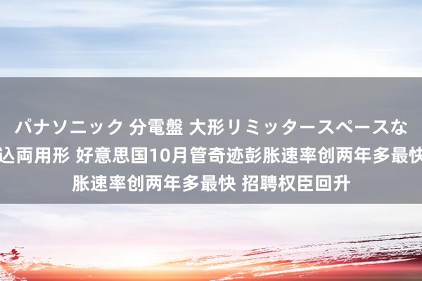 パナソニック 分電盤 大形リミッタースペースなし 露出・半埋込両用形 好意思国10月管奇迹彭胀速率创两年多最快 招聘权臣回升