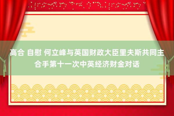 高合 自慰 何立峰与英国财政大臣里夫斯共同主合手第十一次中英经济财金对话