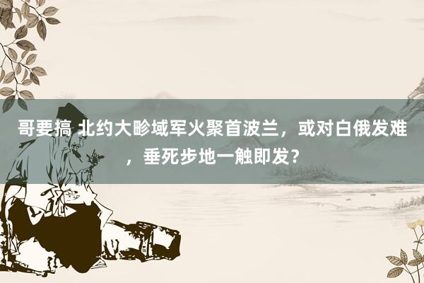 哥要搞 北约大畛域军火聚首波兰，或对白俄发难，垂死步地一触即发？