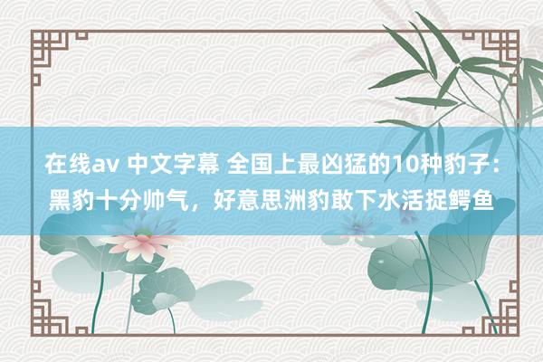 在线av 中文字幕 全国上最凶猛的10种豹子：黑豹十分帅气，好意思洲豹敢下水活捉鳄鱼